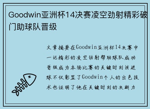 Goodwin亚洲杯14决赛凌空劲射精彩破门助球队晋级