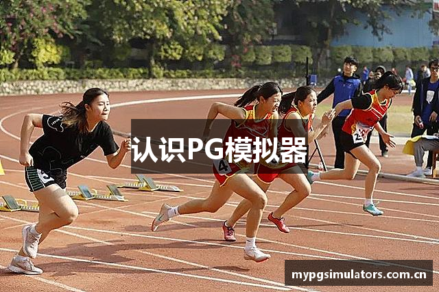 认识PG模拟器